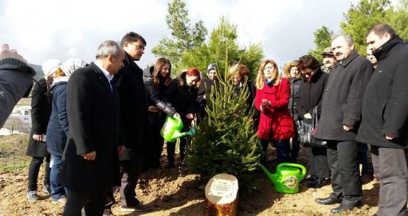 52 Nolu Şube Kadınlar Komisyonu Özgecan Anısına Fidan Dikti