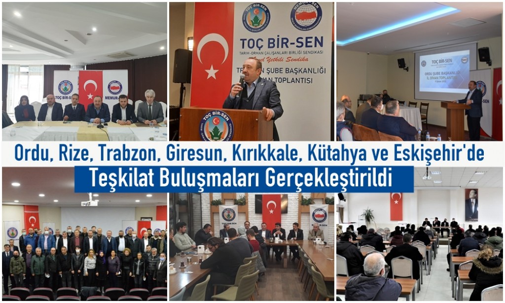 Ordu, Rize, Trabzon, Giresun, Kırıkkale, Kütahya ve Eskişehir'de Teşkilat Buluşmaları Gerçekleştirildi