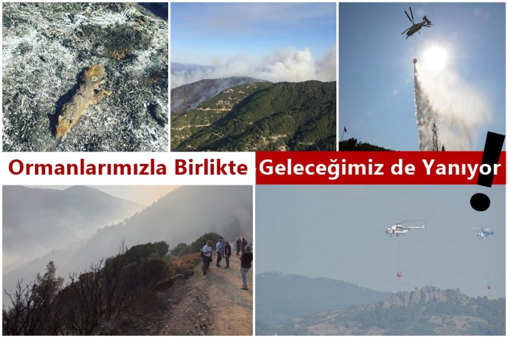 Ormanlarımızla Birlikte Geleceğimiz de Yanıyor