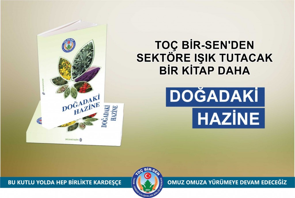 TOÇ BİR-SEN'DEN SEKTÖRE IŞIK TUTACAK BİR KİTAP DAHA